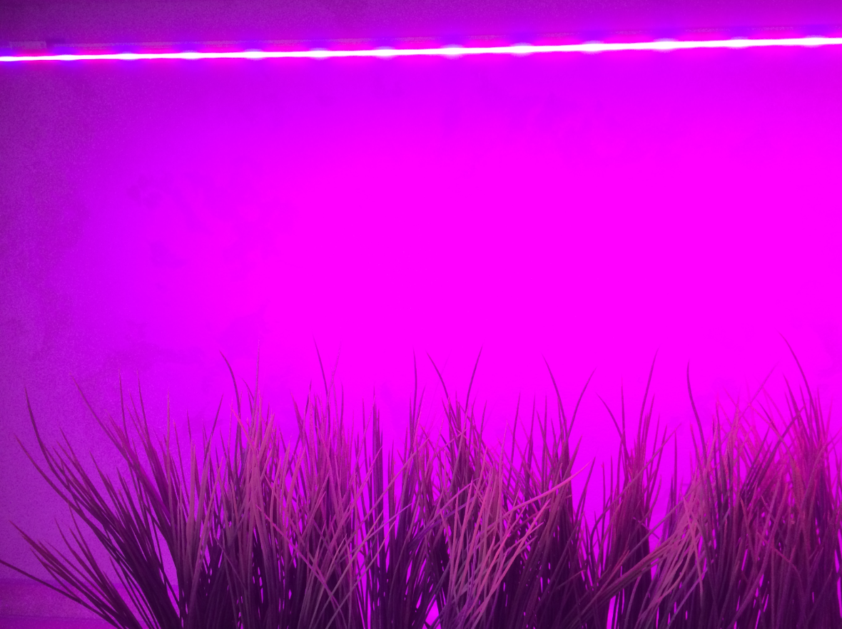 Купить фитосветильник 70см – современный длинный по низкой цене у нас!