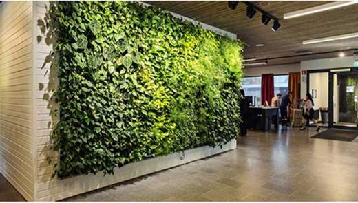 led фитопанели в интерьере